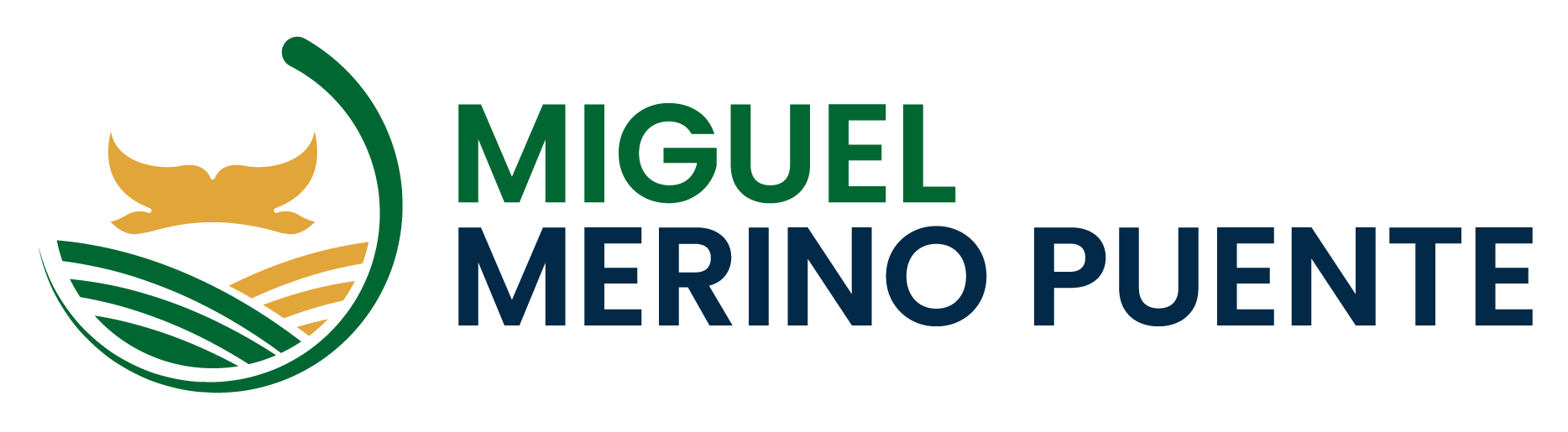 MIGUEL MERINO PUENTE